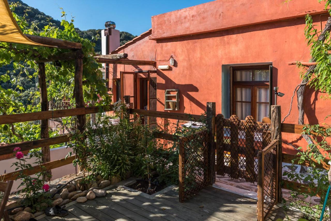 Villa Spitia Anoi à Paleóchora Extérieur photo