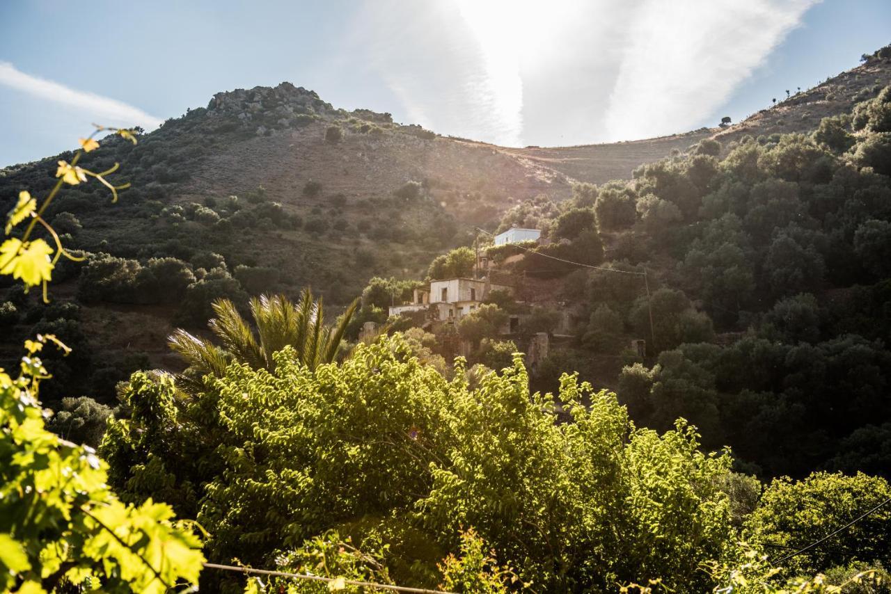 Villa Spitia Anoi à Paleóchora Extérieur photo